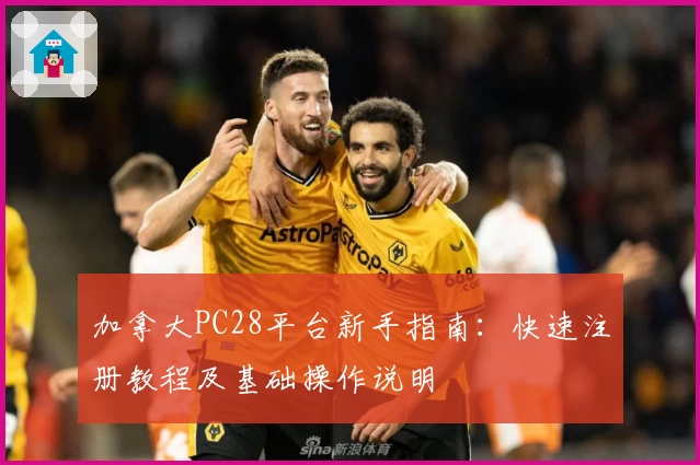 加拿大PC28平台新手指南：快速注册教程及基础操作说明