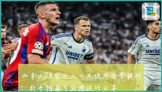 加拿大28官方入口及使用场景解析:新手指南与实用技巧分享