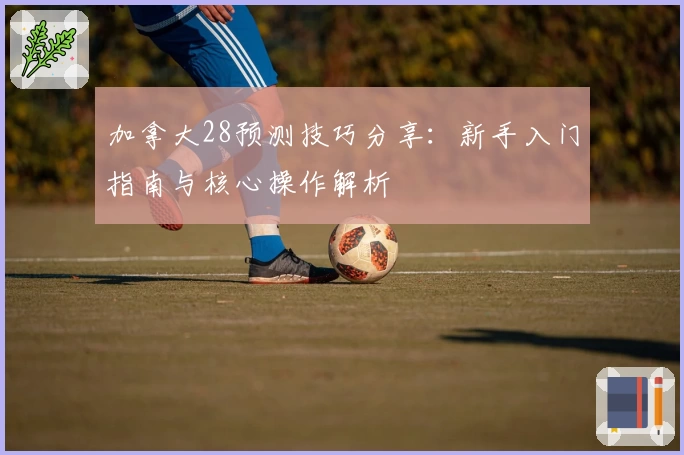 加拿大28预测技巧分享：新手入门指南与核心操作解析