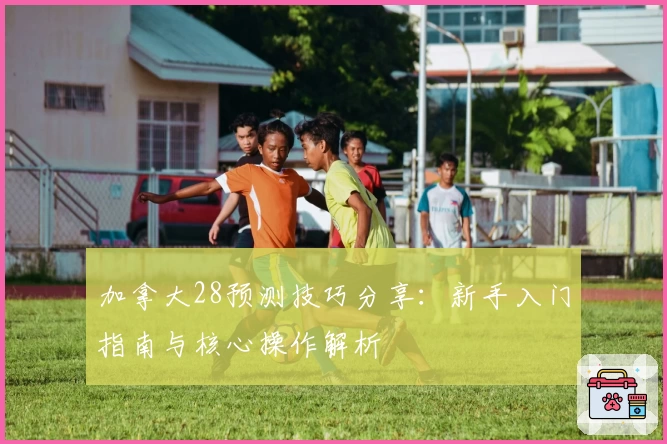 加拿大28预测技巧分享：新手入门指南与核心操作解析