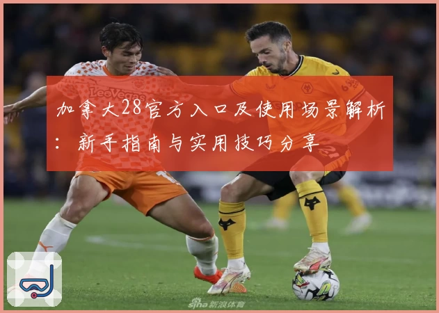 加拿大28官方入口及使用场景解析：新手指南与实用技巧分享