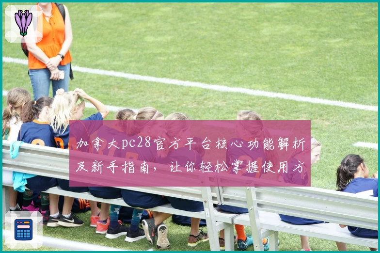 加拿大pc28官方平台核心功能解析及新手指南,让你轻松掌握使用方法