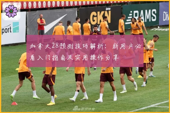 加拿大28预测技巧解析：新用户必看入门指南及实用操作分享