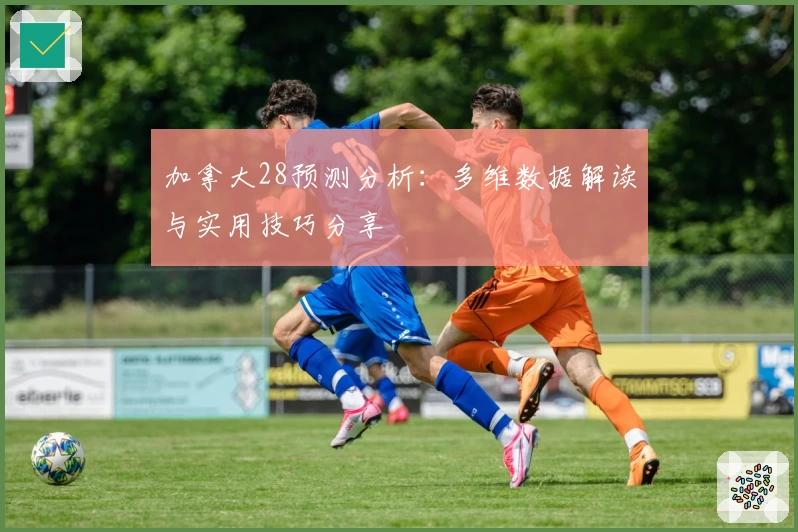 加拿大28预测分析：多维数据解读与实用技巧分享