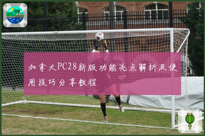 加拿大PC28新版功能亮点解析及使用技巧分享教程