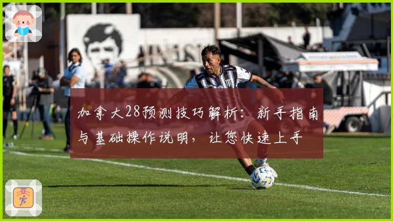 加拿大28预测技巧解析：新手指南与基础操作说明，让您快速上手