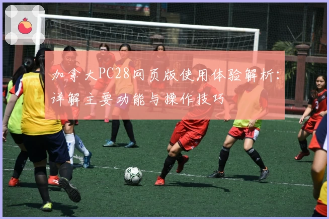 加拿大PC28网页版使用体验解析:详解主要功能与操作技巧